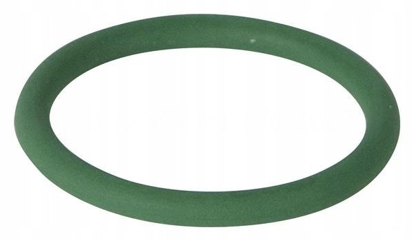 O-RING WTRYSKIWACZA DAF OE CF95 XF95 [1301890]